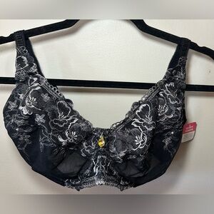 36F bra - 36DDD bra - Essential Bodywear